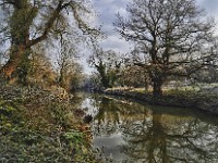 The Oak Reflected  Some days keep on giving. This was taken on the same December day as “The River in Winter”. There were two other photographs from that day in the exhibition. The viewpoint is on top of a WW2 “pill-box” bunker, not far from East Farleigh. I love the massive mature oak tree growing right on the opposite bank. What stories it could tell.  £200